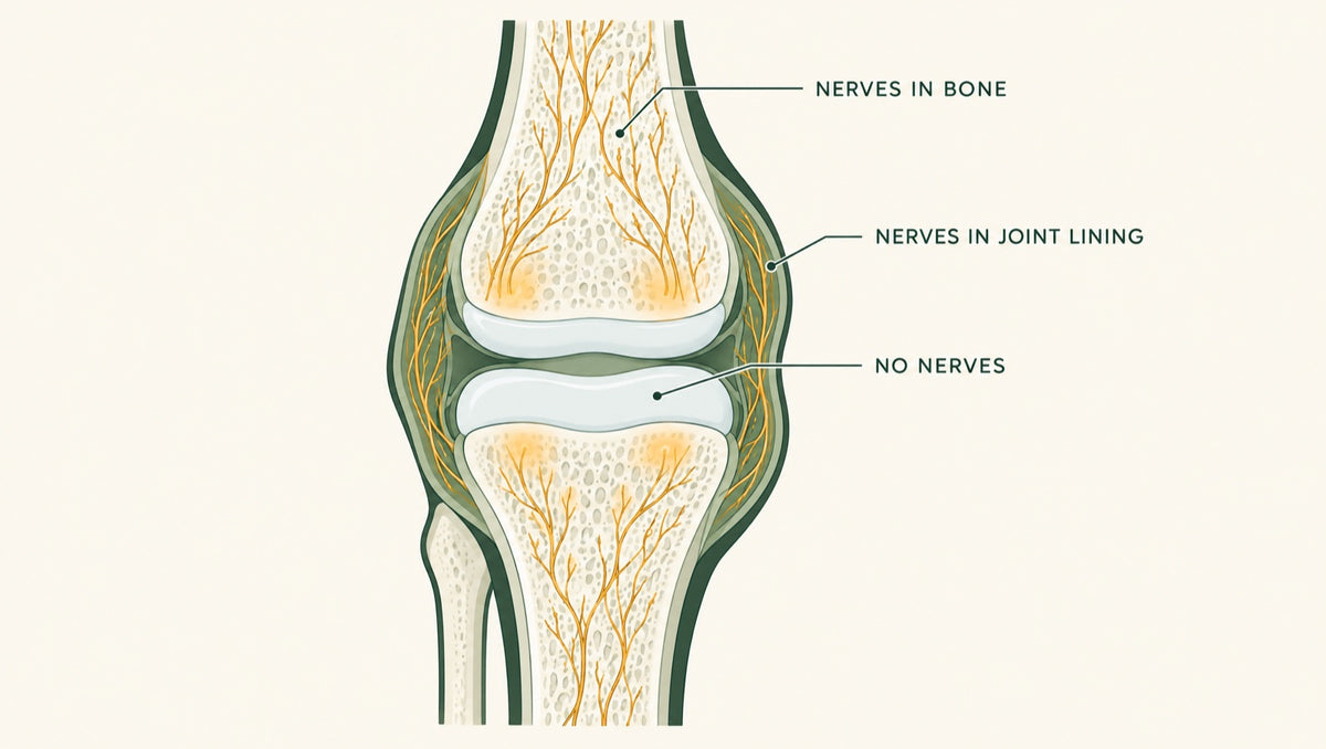 The part that's wearing out cannot feel pain.
